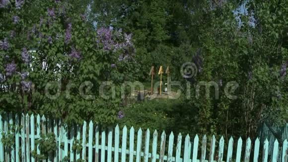 教堂墓地紫丁香灌木丛中的坟墓景观视频的预览图