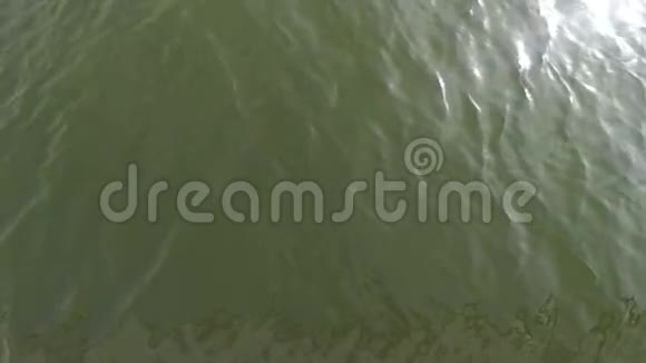 绿色水面顶部视图的Slomo闪烁的水太阳耀斑向120fps缓慢运动射击视频的预览图