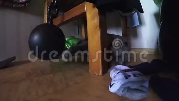 家猫在椅子下面玩花圈球地板表面特写镜头视频的预览图