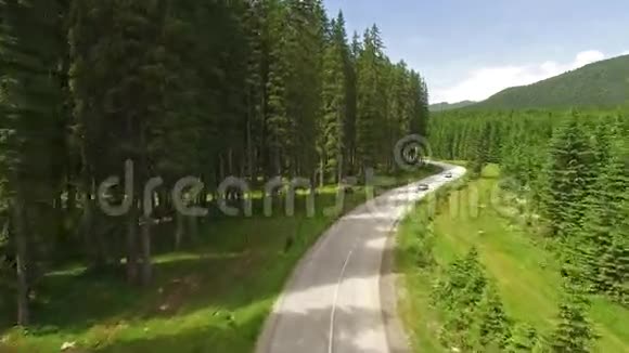 空中夏季汽车在森林道路上行驶视频的预览图