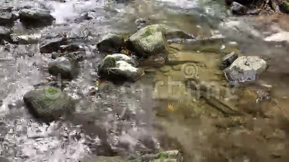 有石头和音频的野生河流视频的预览图