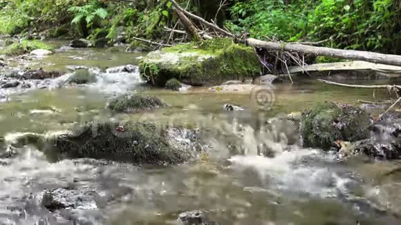 充满石头和声音的狂野河流视频的预览图