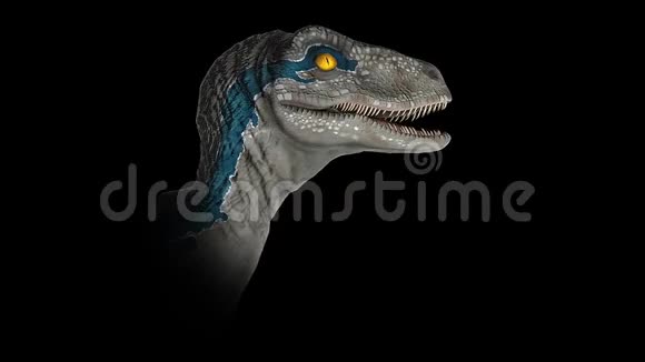 维罗西龙蓝侏罗纪打开了嘴视频的预览图