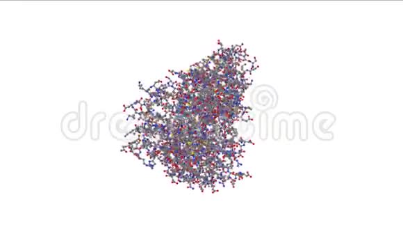 蛋白质球白色背景下旋转的化学模型视频的预览图