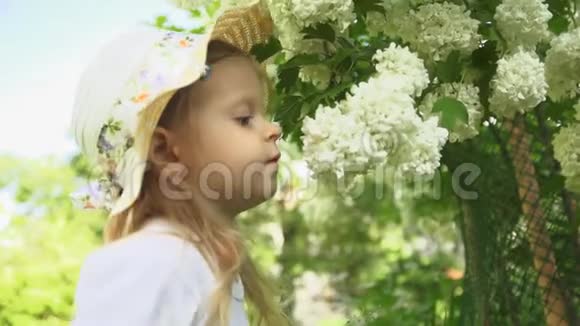 一个小女孩在阳光明媚的日子里在花园里吸入花香视频的预览图