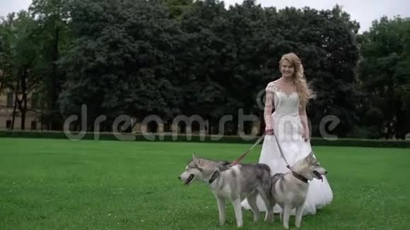 带着哈士奇狗的新娘视频的预览图