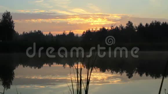 清晨在湖边雾在水面和橙色的天空在日出之前这个湖被森林包围着移动视频的预览图