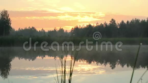 清晨在湖边雾在水面和橙色的天空在日出之前这个湖被森林包围着移动视频的预览图