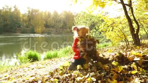 秋天公园的小女孩视频的预览图