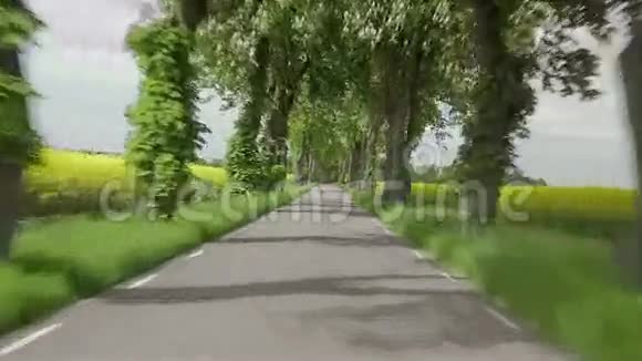开着一辆车穿过树林和油菜花的小巷视频的预览图