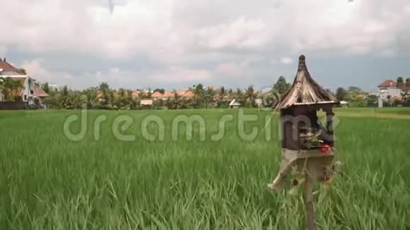 巴厘岛的稻田前面有一座祭坛视频的预览图