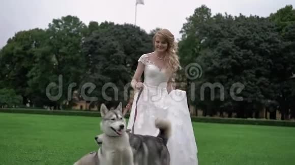 带着哈士奇狗的新娘视频的预览图
