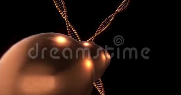黑色背景3D渲染环4k上DNA分子的Srls与Alpha通道掩模无缝环视频的预览图