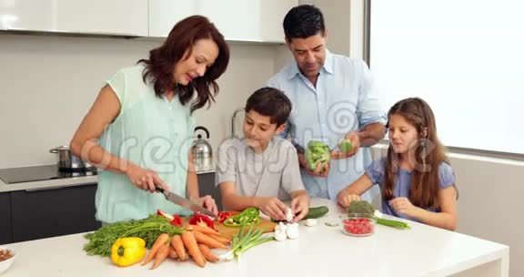 妈妈教孩子们如何切蔬菜视频的预览图