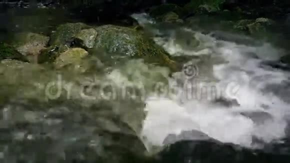 在落基河上拍摄特写镜头视频的预览图