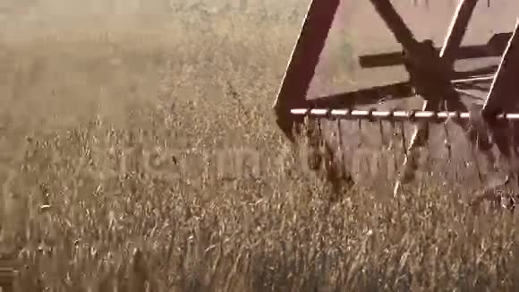 农用联合机与卷筒刀杆脱粒燕麦的特写全景4K视频的预览图