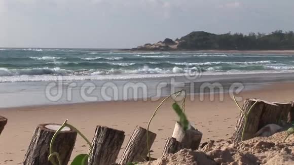 莫桑比克南非印度洋海滩海岸视频的预览图