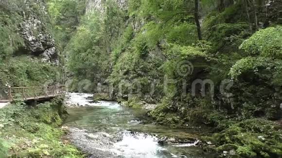 温特加尔峡谷拉多夫纳河斯洛文尼亚151852视频的预览图