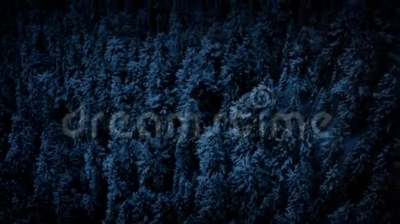 黑暗中冰冻森林的鸟瞰图视频的预览图