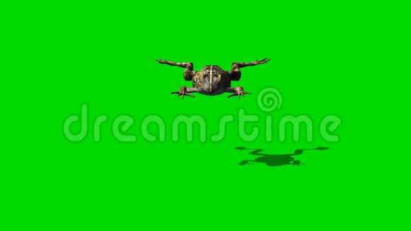 青蛙跳3绿色屏幕视频的预览图