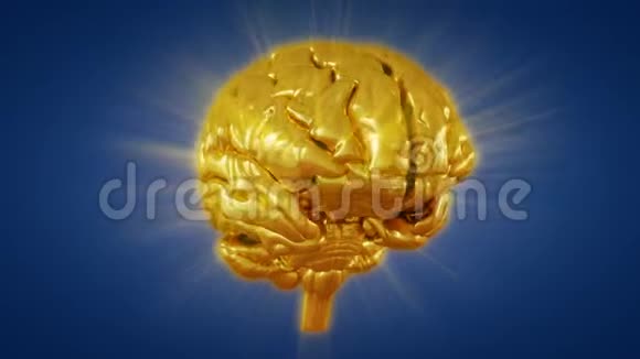 黄金人脑旋转视频的预览图