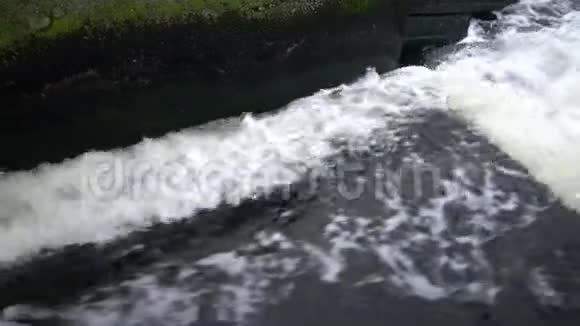 脏水从管道流入天然池塘环境污染视频的预览图