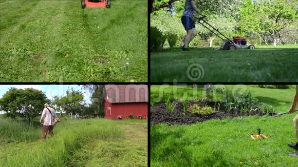 园丁女人修剪草坪和水人剪草夹子拼贴视频的预览图