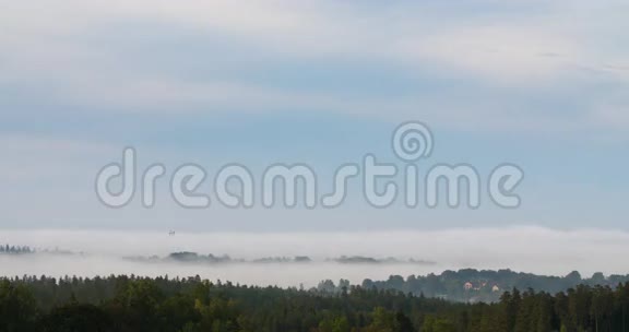浓雾在森林覆盖的山谷中流逝视频的预览图