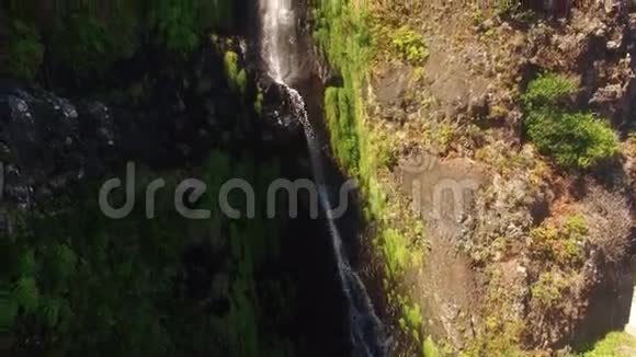 马德拉岛瀑布和海洋的鸟瞰图视频的预览图