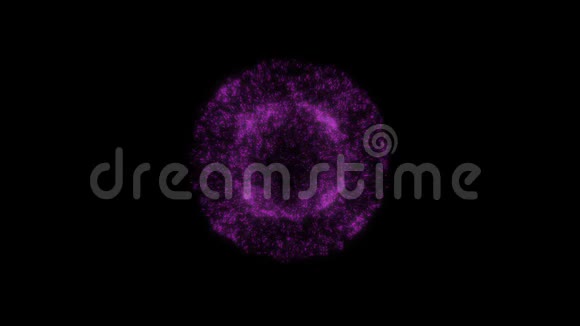 黑色背景下的紫色烟花爆炸庆典概念视频的预览图