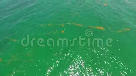 海藻空中视频视频的预览图