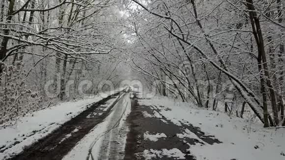 白雪覆盖的冬天小巷灌木丛中有一条路视频的预览图