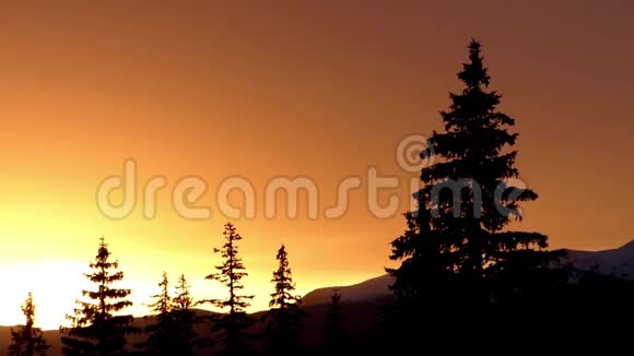 在山上日落松树和美丽的景观视频的预览图