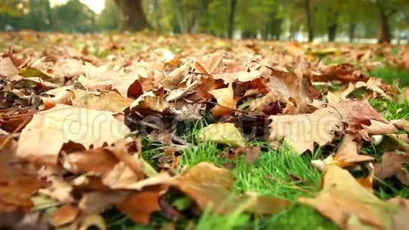 一个孩子穿过秋天落叶的镜头视频的预览图