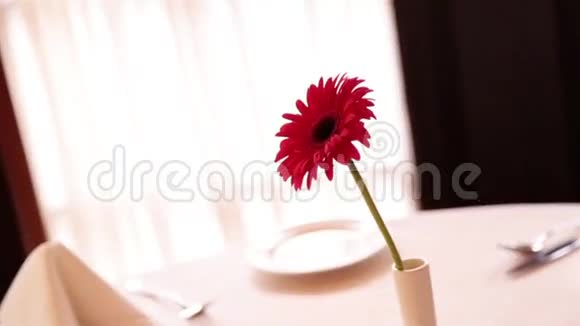 在餐桌上白布餐馆是花瓶里的一朵花视频的预览图