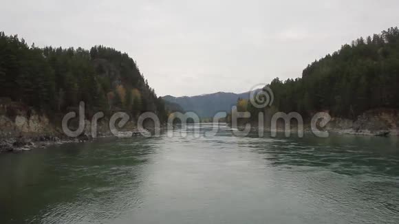 山河在岩石之间流淌着松树旅行者站在河边的一块大石头上视频的预览图