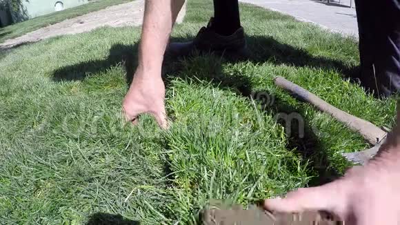 工人滚动小草坪草为新的草坪慢动作视频的预览图