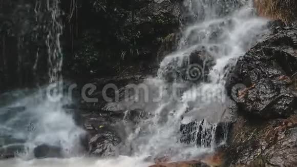 山级联瀑布野热带溪流视频的预览图