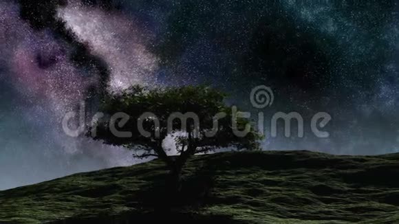时光流逝紫色的夜空星星伴着树从山上飞过视频的预览图