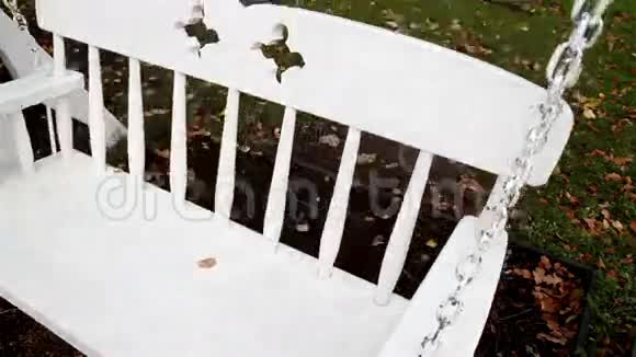 白色长椅上的叶子视频的预览图