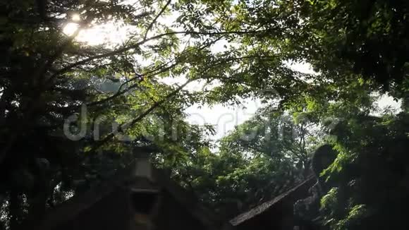 亚洲的寺庙场景视频的预览图