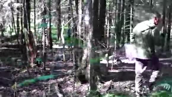 早上在森林里的蘑菇视频的预览图