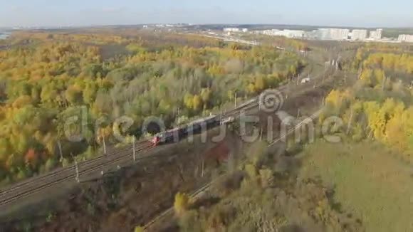火车穿过地平线上的秋天森林你可以看到这座城市视频的预览图