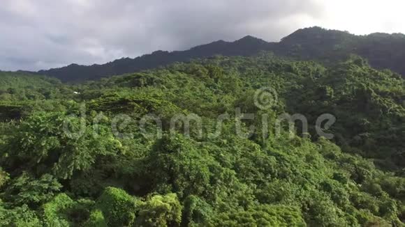 山地热带雨林中充满了生长完整的树木空中打击视频的预览图