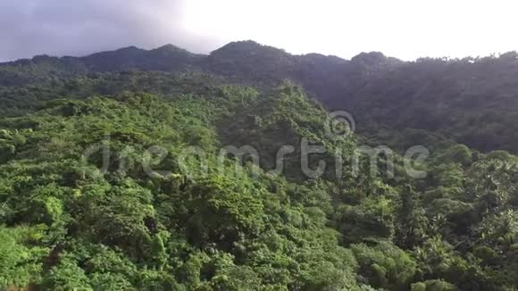 山地热带雨林中充满了生长完整的树木空中打击视频的预览图