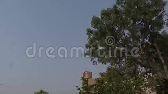 维贾扬加拉的废墟视频的预览图
