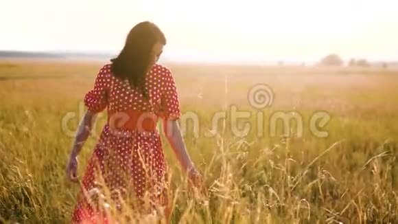 美丽的年轻女孩与野花在田野上散步在户外享受大自然的慢动作视频在战场上的女孩视频的预览图