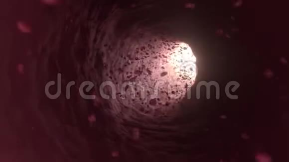 血管内的红细胞视频的预览图