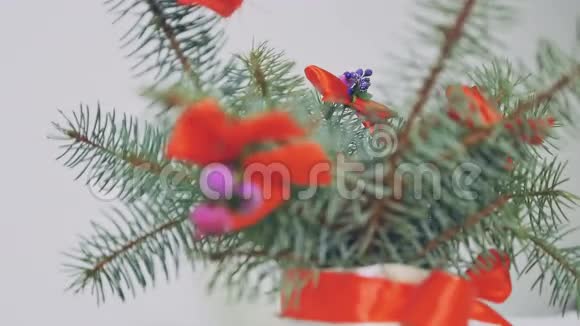 美丽的圣诞树传统的装饰品视频的预览图