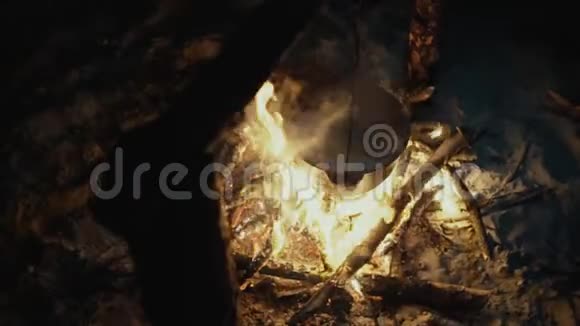 晚上在森林的篝火上烹饪食物营地生活旅行视频的预览图